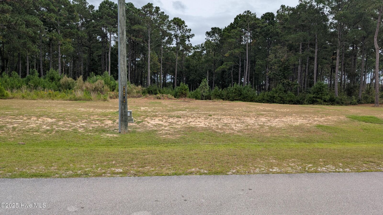 Property Photo: 251 23 Gus Horne Road NC 28445