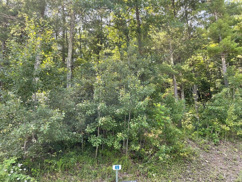 Property Photo: Lot 49A Hemlock Hills Rd PA 18848