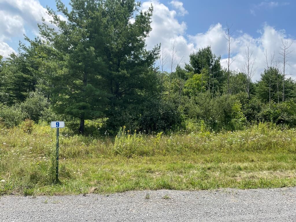 Property Photo: Lot 9A Hemlock Hills Rd PA 18848