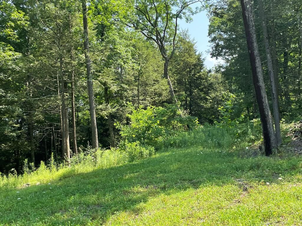 Property Photo: Lot 42A Hemlock Hills Rd PA 18848
