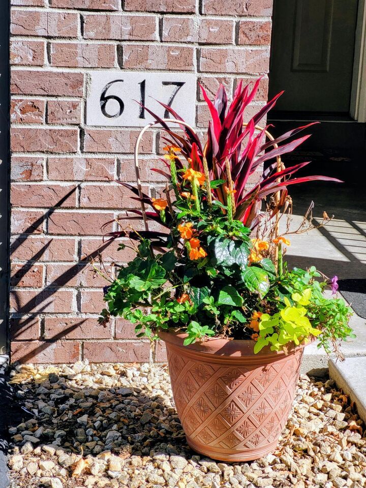 Property Photo:  617 Crane Creek Lane  MN 55121 