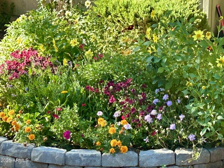 Property Photo: 912 W Madera Lane AZ 85541