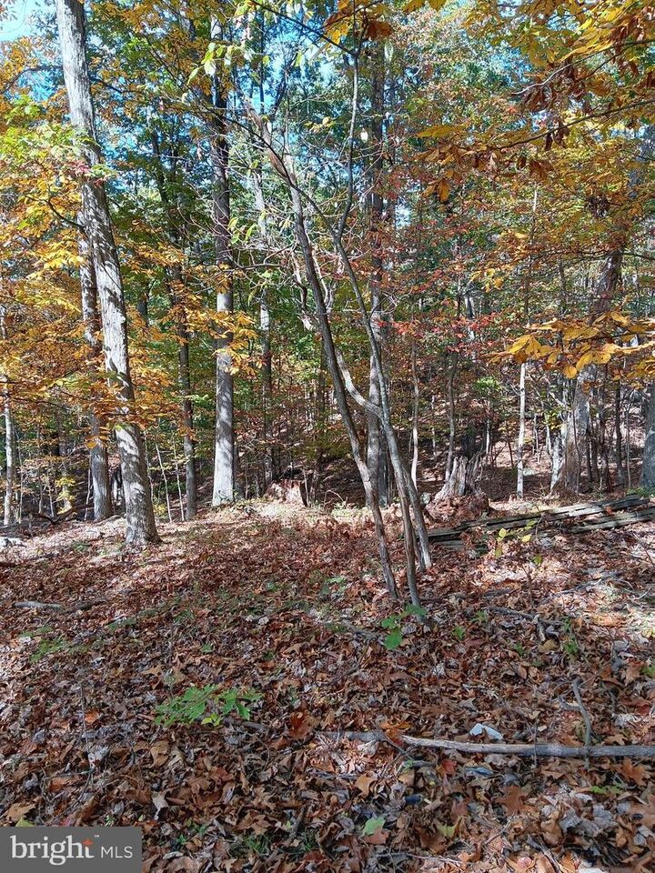 Property Photo:  Petes Drive  MD 21502 