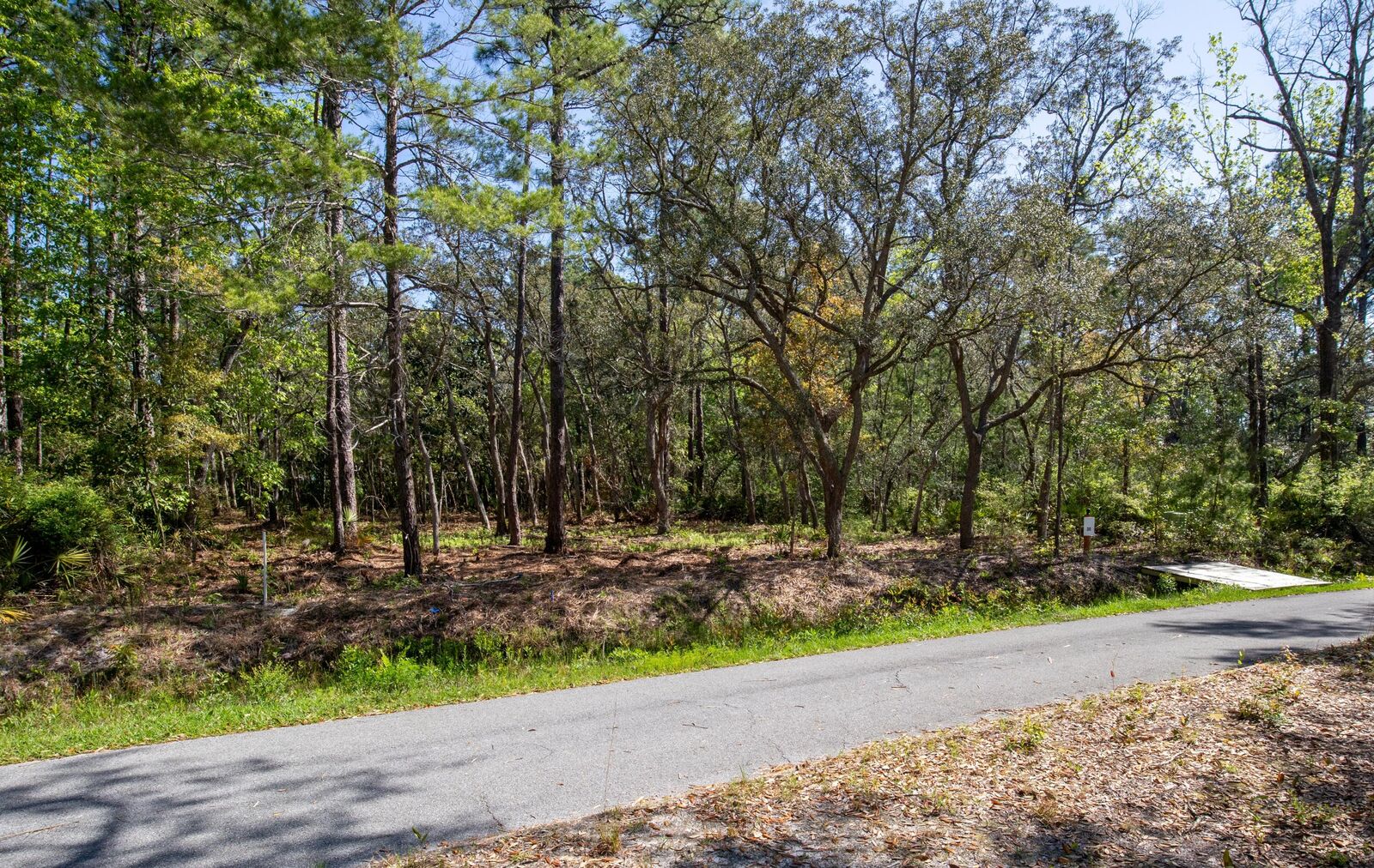 Property Photo: Lot 30 Bayside Drive FL 32439