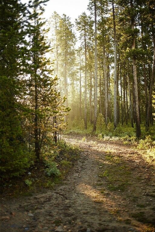 Property Photo:  Tbd Ulery'S Lakes Road - Lot 12A  MT 59716 