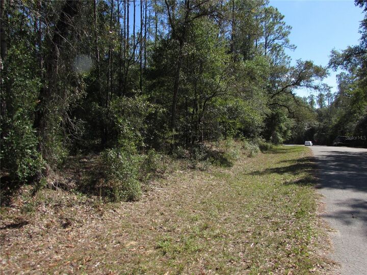 Property Photo:  Lot 13 SW 87th Loop  FL 34431