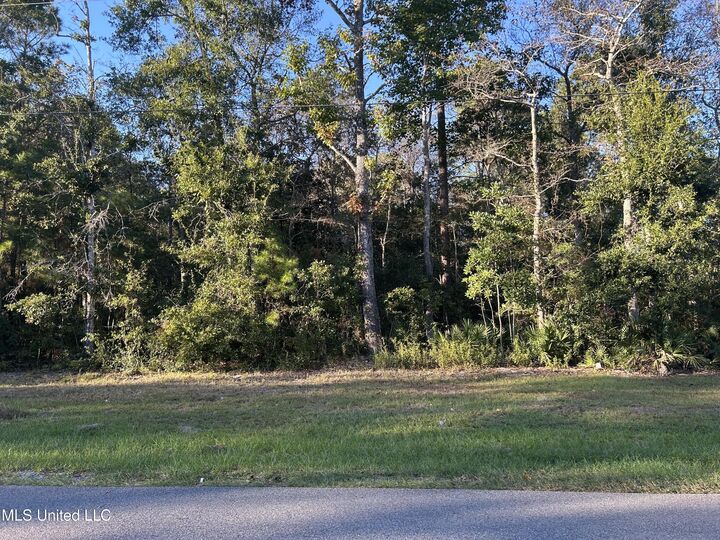 Beach Street  Ocean Springs MS 39564 photo