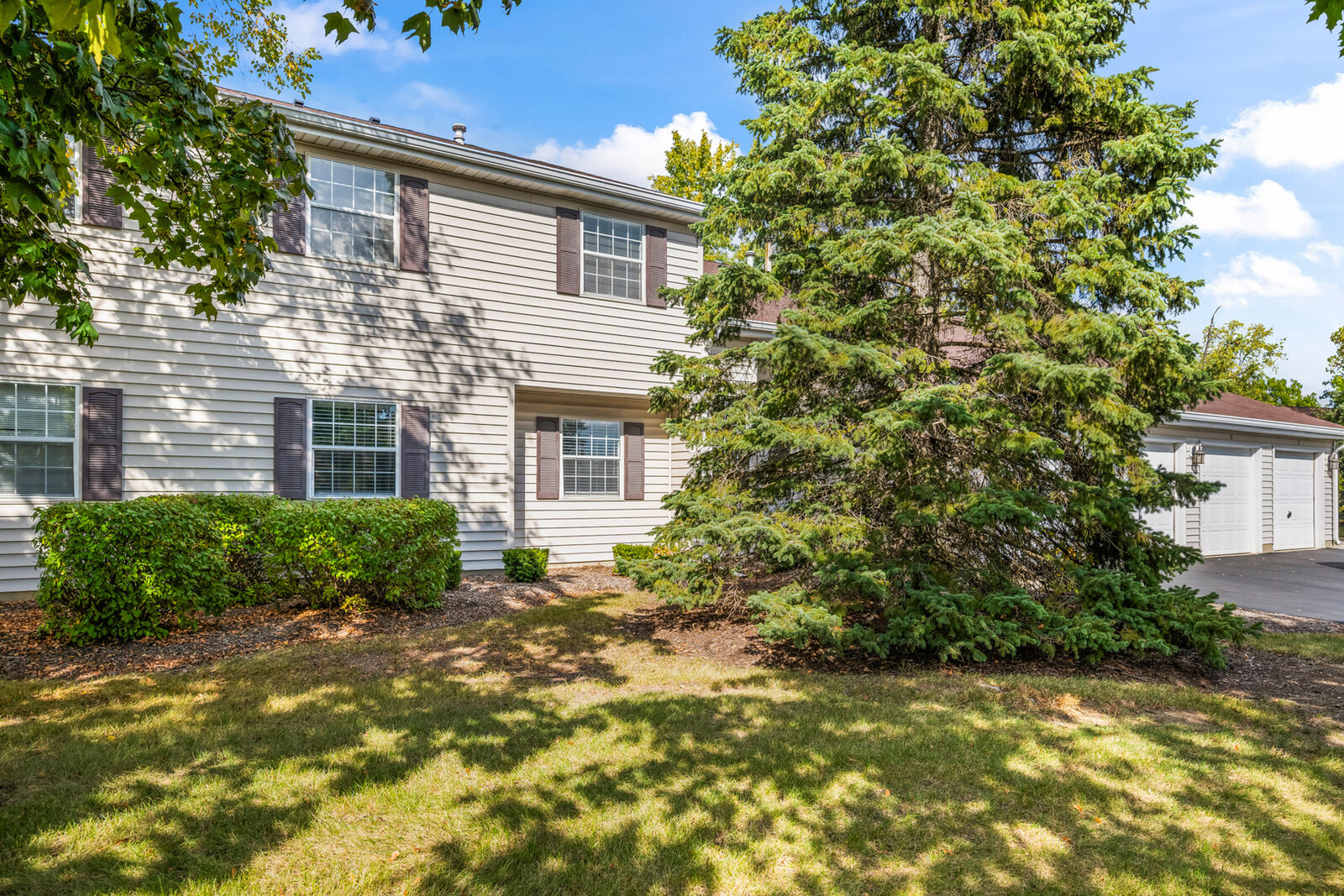 Property Photo: 556 E Shagbark Lane C IL 60107