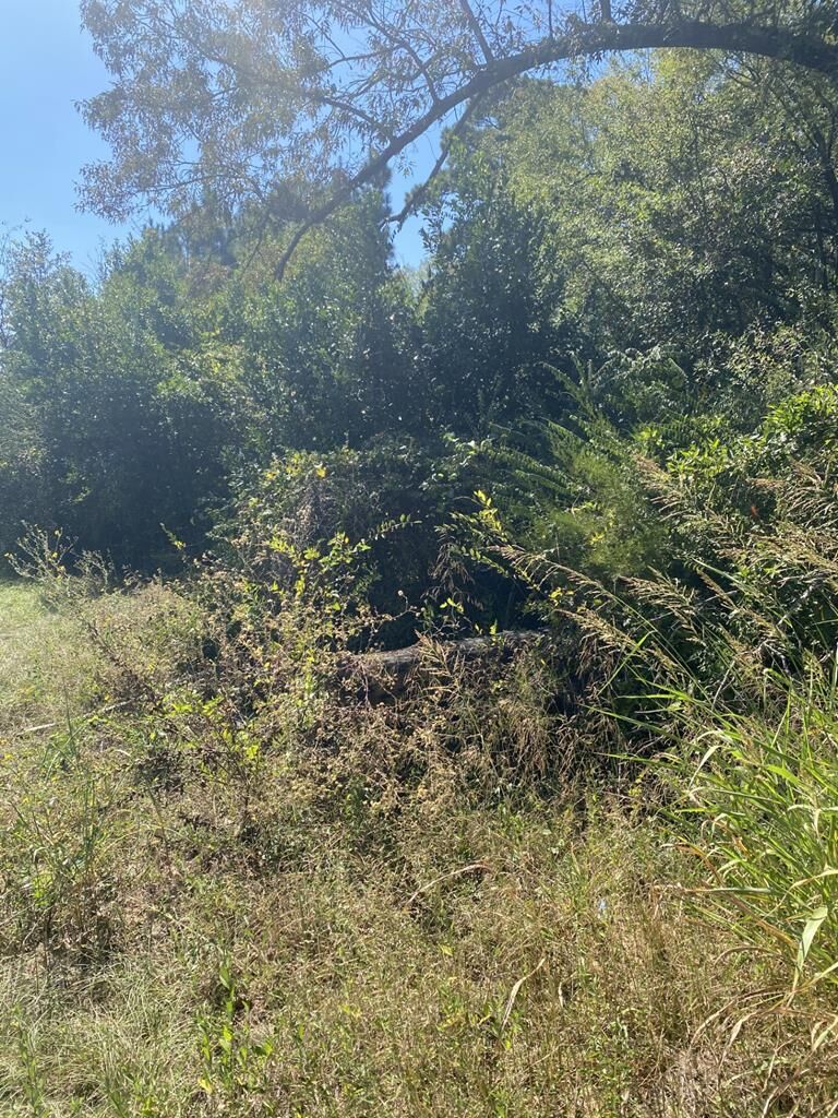 Property Photo: Tbd South Fredonia TX 75964