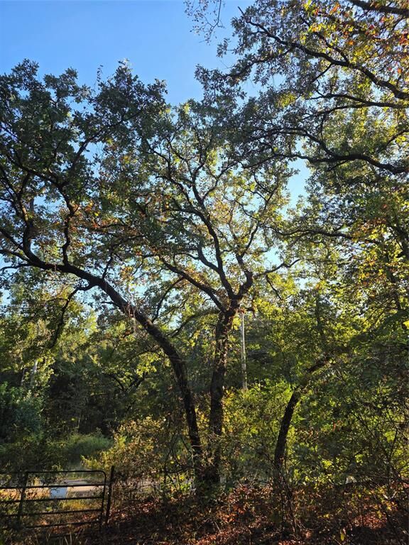Property Photo:  Lot 466 Cr-4710  TX 75770