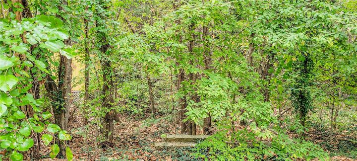 Property Photo: Tbd N Main Street AR 72632