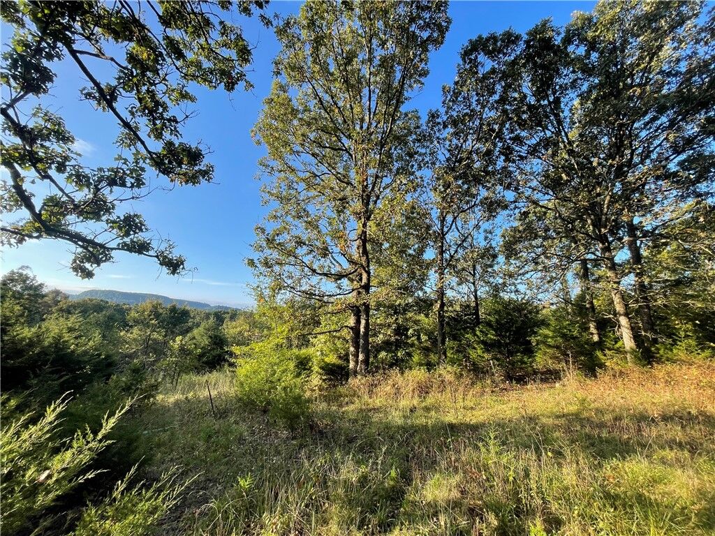 Property Photo:  10 Acres Cr 9204  AR 72611 