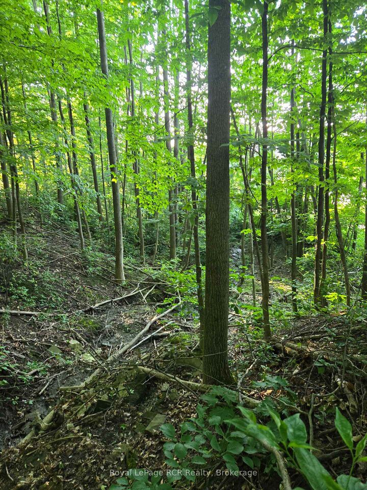 Property Photo:  130 Old Highway 26 Highway  ON N4L 1W7 