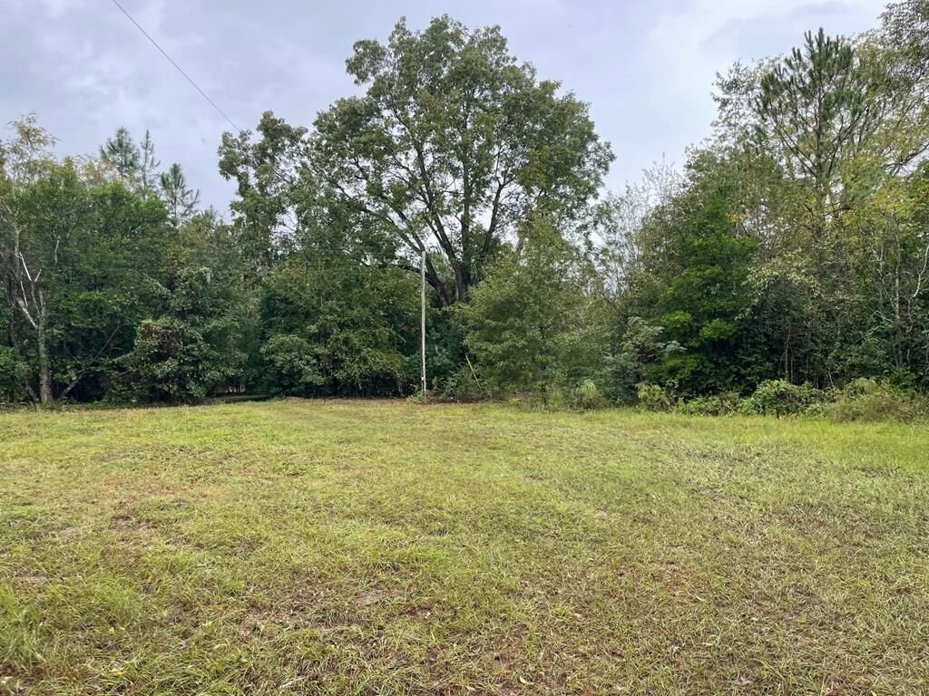 Property Photo:  573 Frank Road  GA 31750