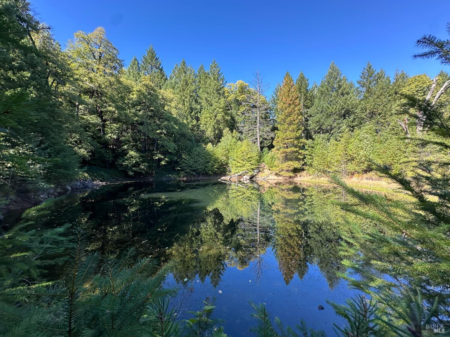 Property Photo: 51901 Stivers Road CA 95454