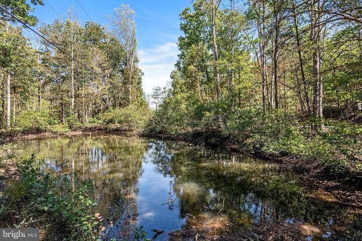 Property Photo:  Lot 4 Back Creek Rd  VA 22637 