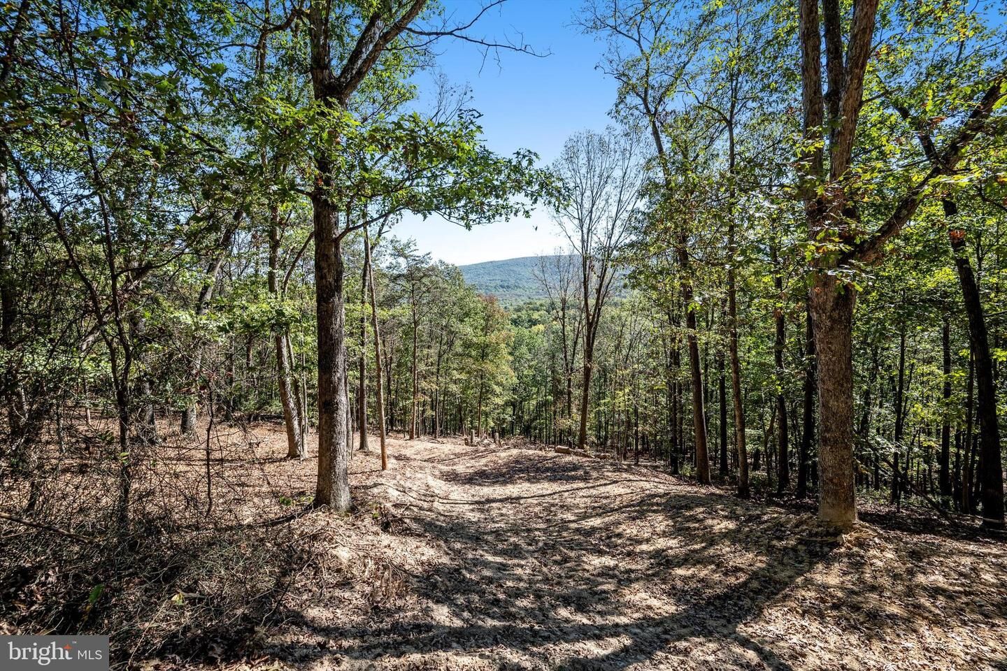 Property Photo: Lot 6 Back Creek Rd VA 22637