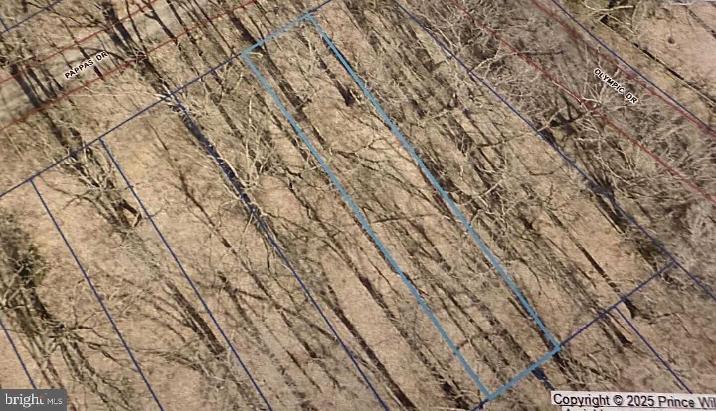 Property Photo: 8125 Pappas Drive VA 20112