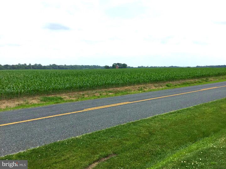 Property Photo: 272 Granny Branch Road MD 21623