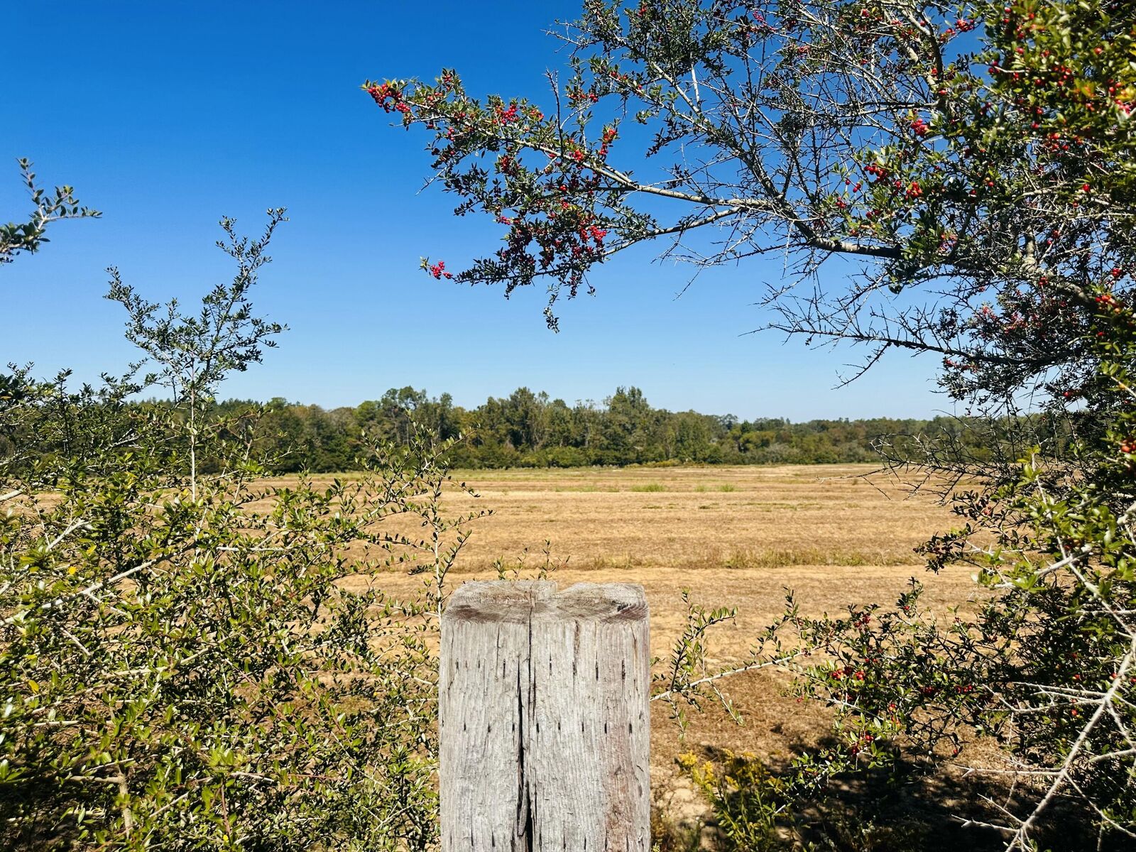 Property Photo: Lot 7 E Highway 2 Highway FL 32425
