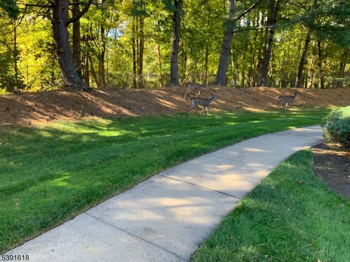 Property Photo: 37 Wareham Ct NJ 07076