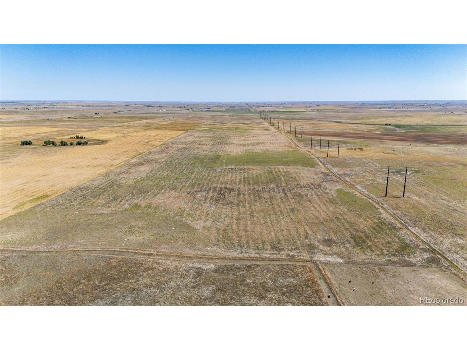 Property Photo:  4880 S County Road 137  CO 80102 