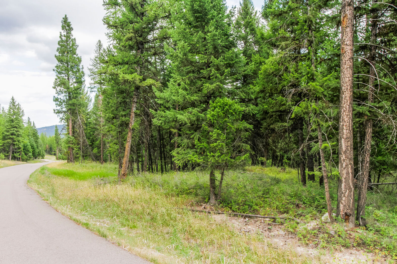 Property Photo:  250 Haskill Ranch Road  MT 59920 