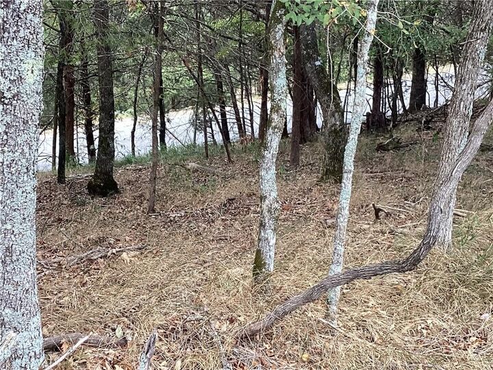 Property Photo:  Lot 93 Oak Leaf Circle  AR 72732