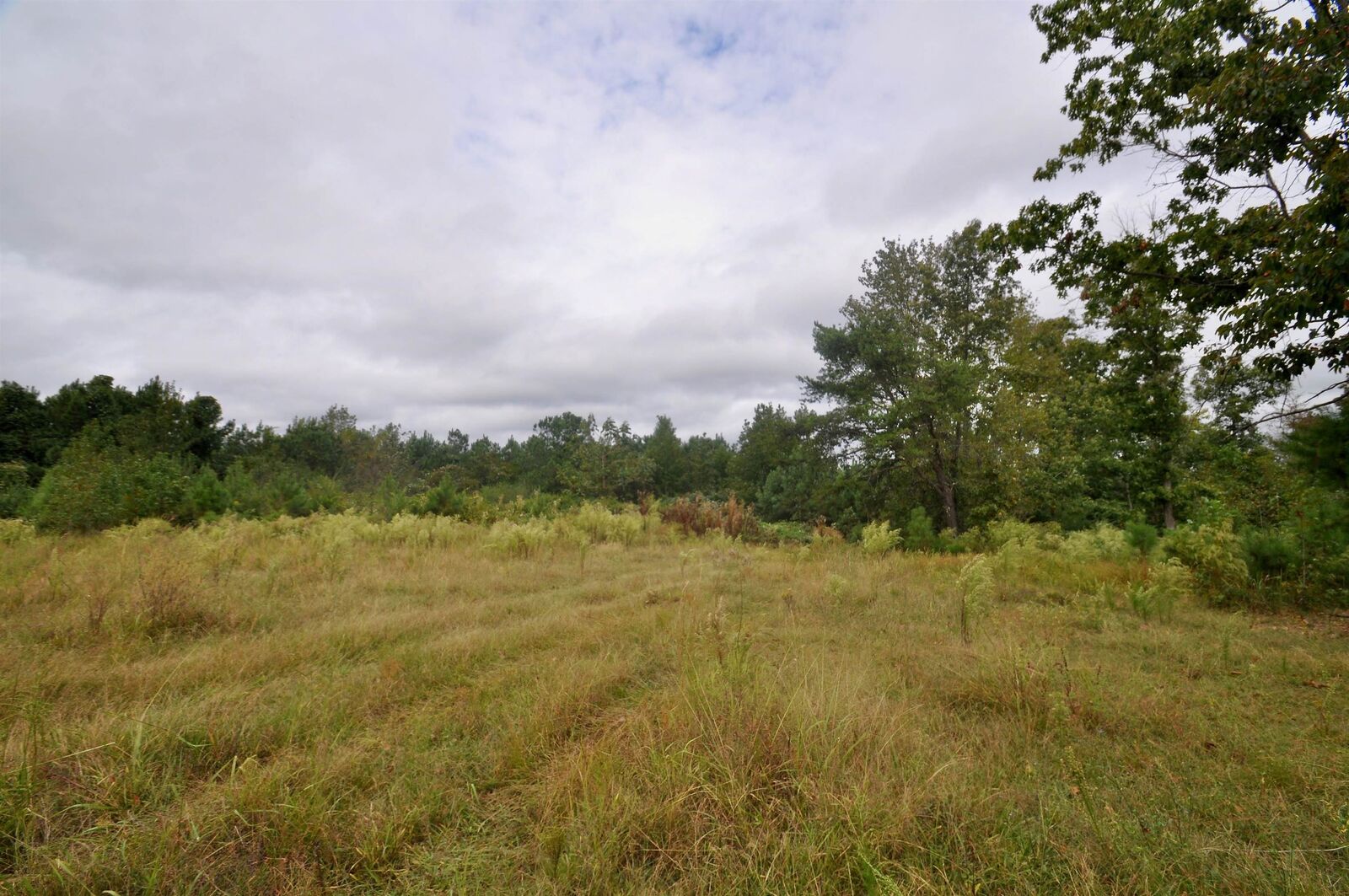 Property Photo: 0 Co Rd 1101 AL 35179 - VINEMONT