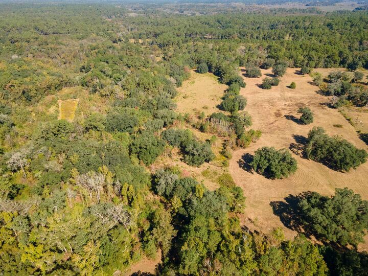 Property Photo: Y Gardners Farm Road FL 32312