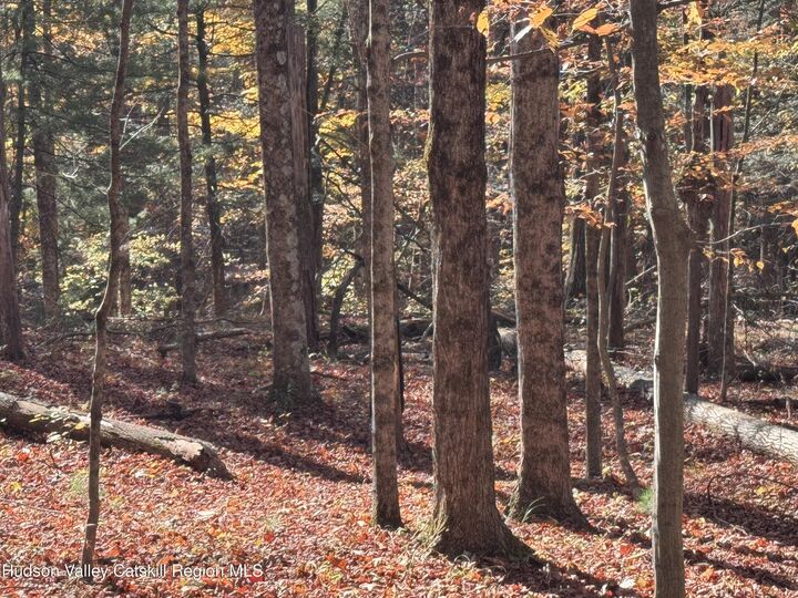 Property Photo: Tbd Cross Patch NY 12495