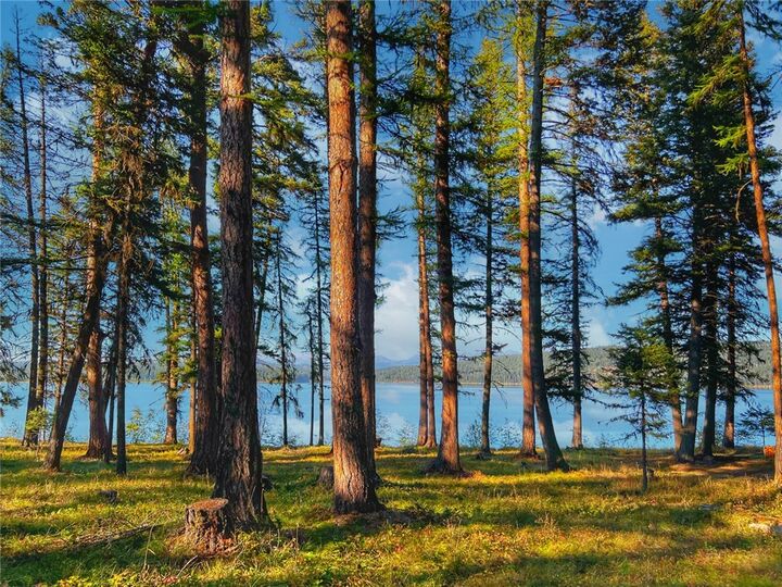 Property Photo: 1026 Placid View Place MT 59868