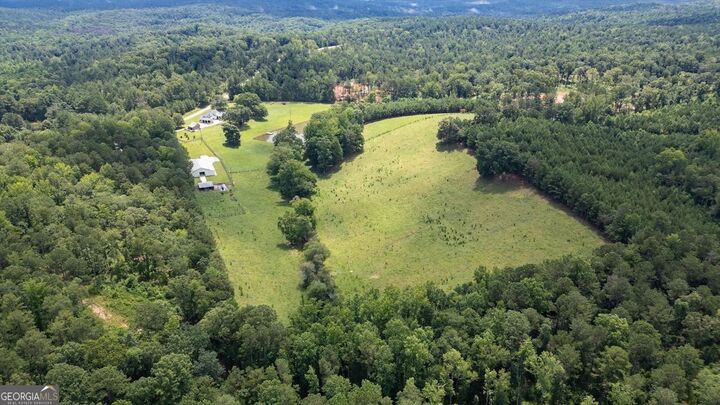 Property Photo:  0 County Road 19  AL 36264 