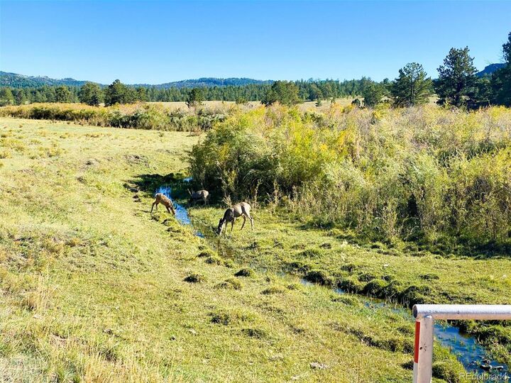 Property Photo:  0 Rosebush Rd  CO 81212 