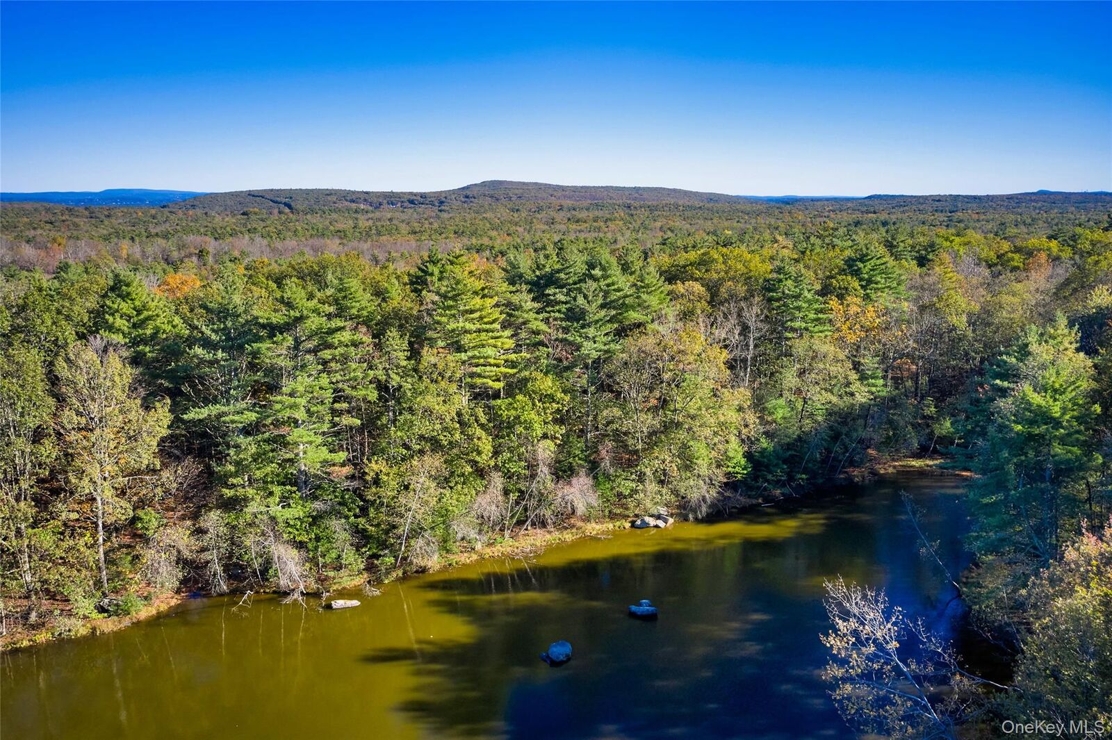Property Photo: 0 Band Camp Road NY 12477