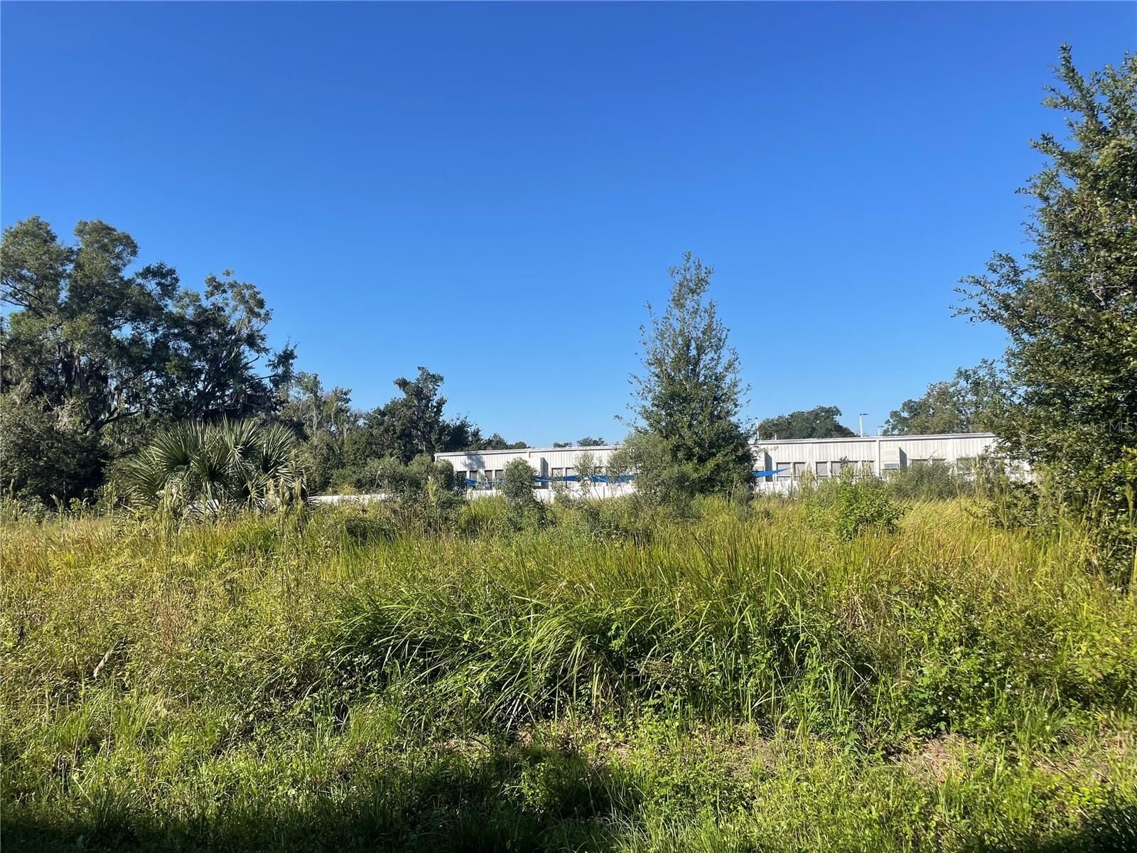 Property Photo: Petetty Drive FL 33563