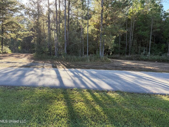 -0- Raford Shumock Road  Moss Point MS 39562 photo