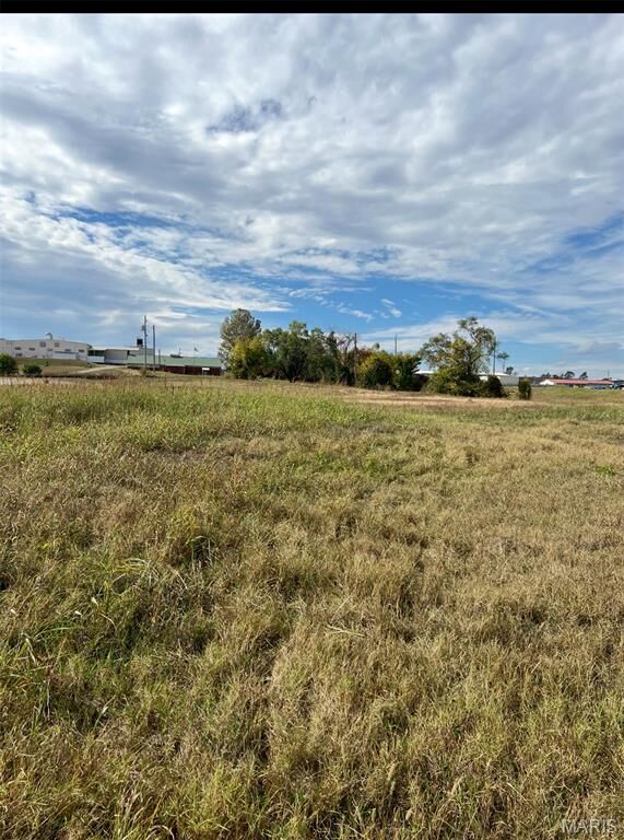 Property Photo:  24 N Dover Street  MO 63628