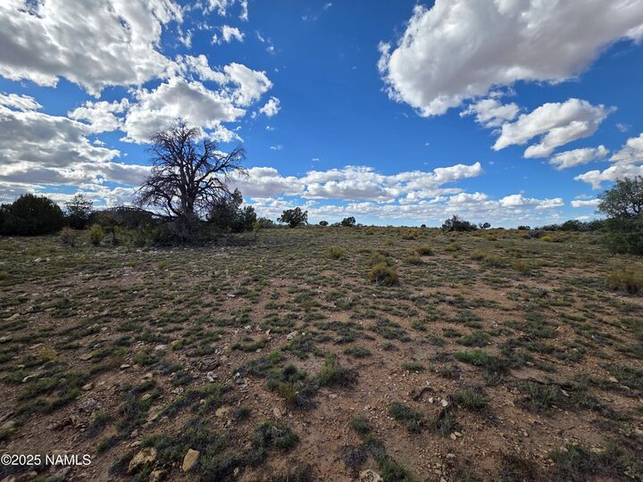Property Photo:  6154 Fire Sky Trl Lot C  AZ 86046 