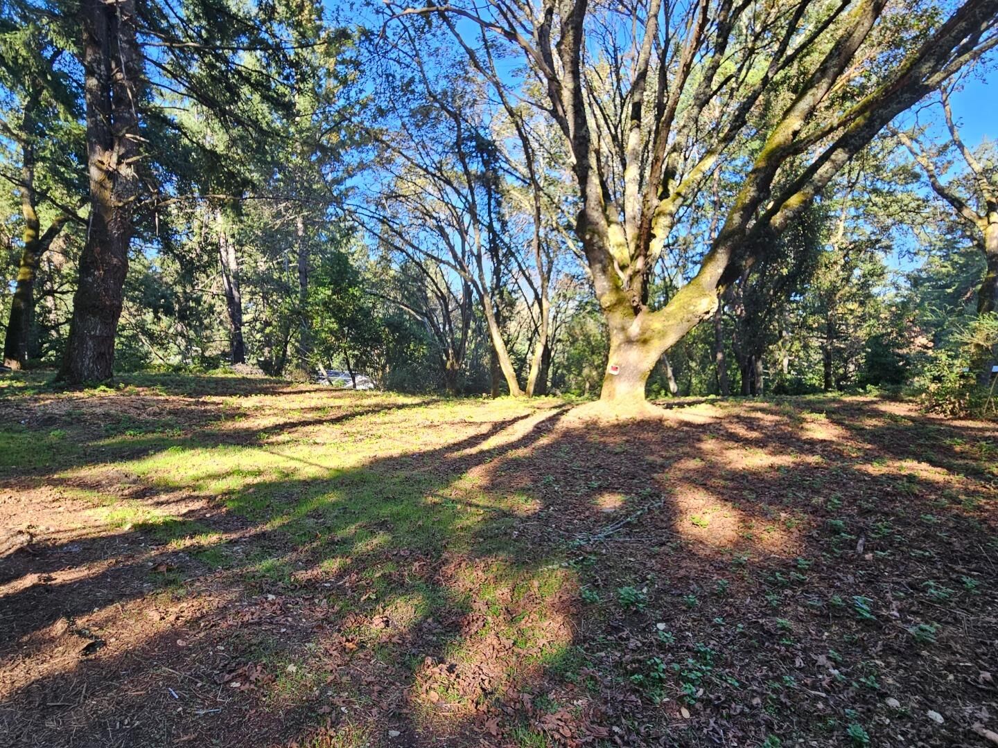 Property Photo: 21749 Summit Road CA 95033