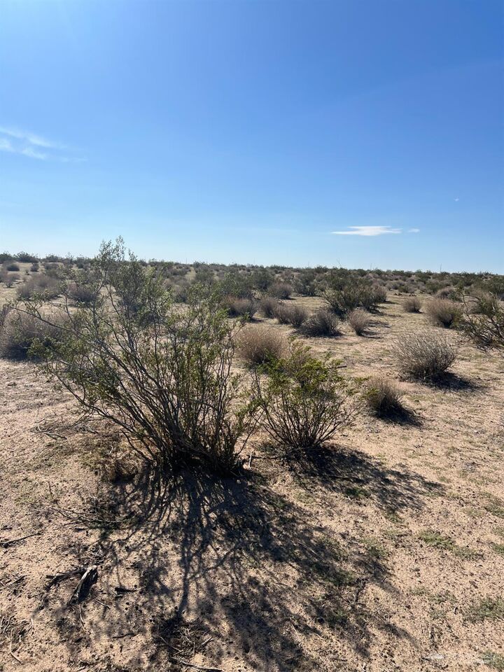 Property Photo:  0 Dodson  CA 93501 