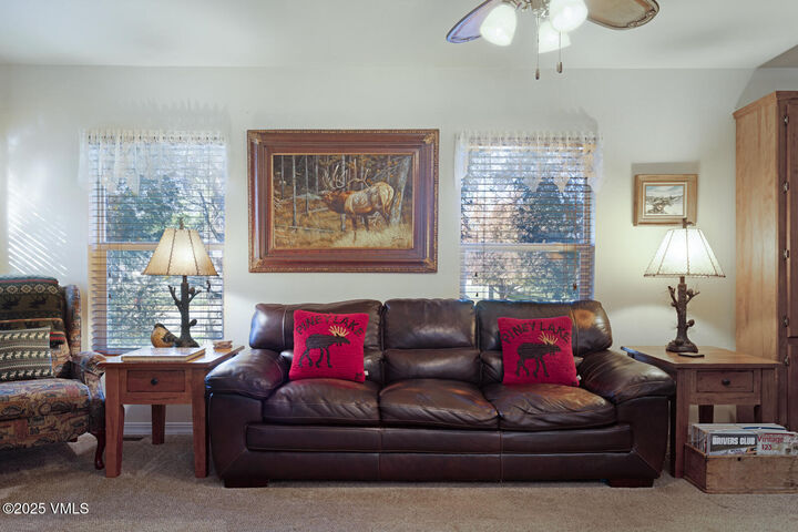 Property Photo:  109 Spring Buck Road  CO 81637