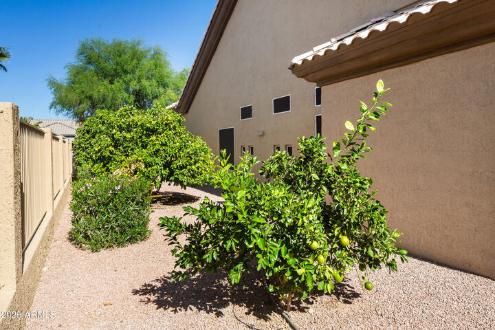 Property Photo: 13811 W Via Tercero -- AZ 85375