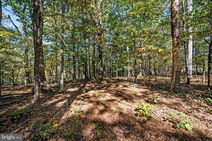 Property Photo: Lot 12B Graystone Lane VA 22603