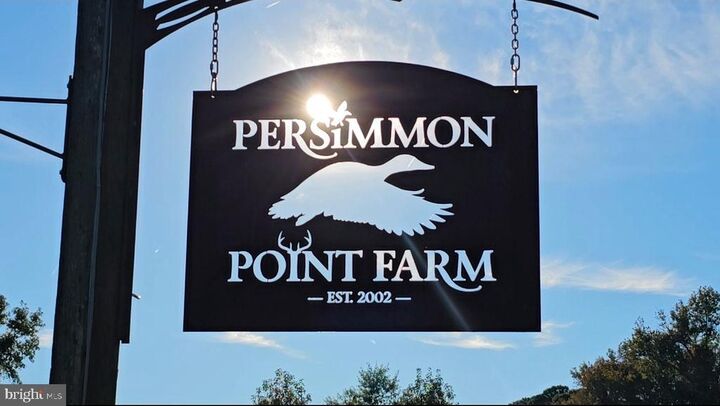 Property Photo:  163 Hall Road  MD 21851 