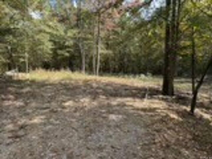 Property Photo: 113 Gloria Road AR 71913