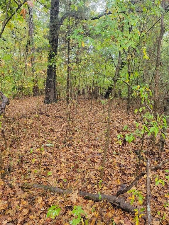 Property Photo:  5194 Joe Frank Harris Parkway NW  GA 30103