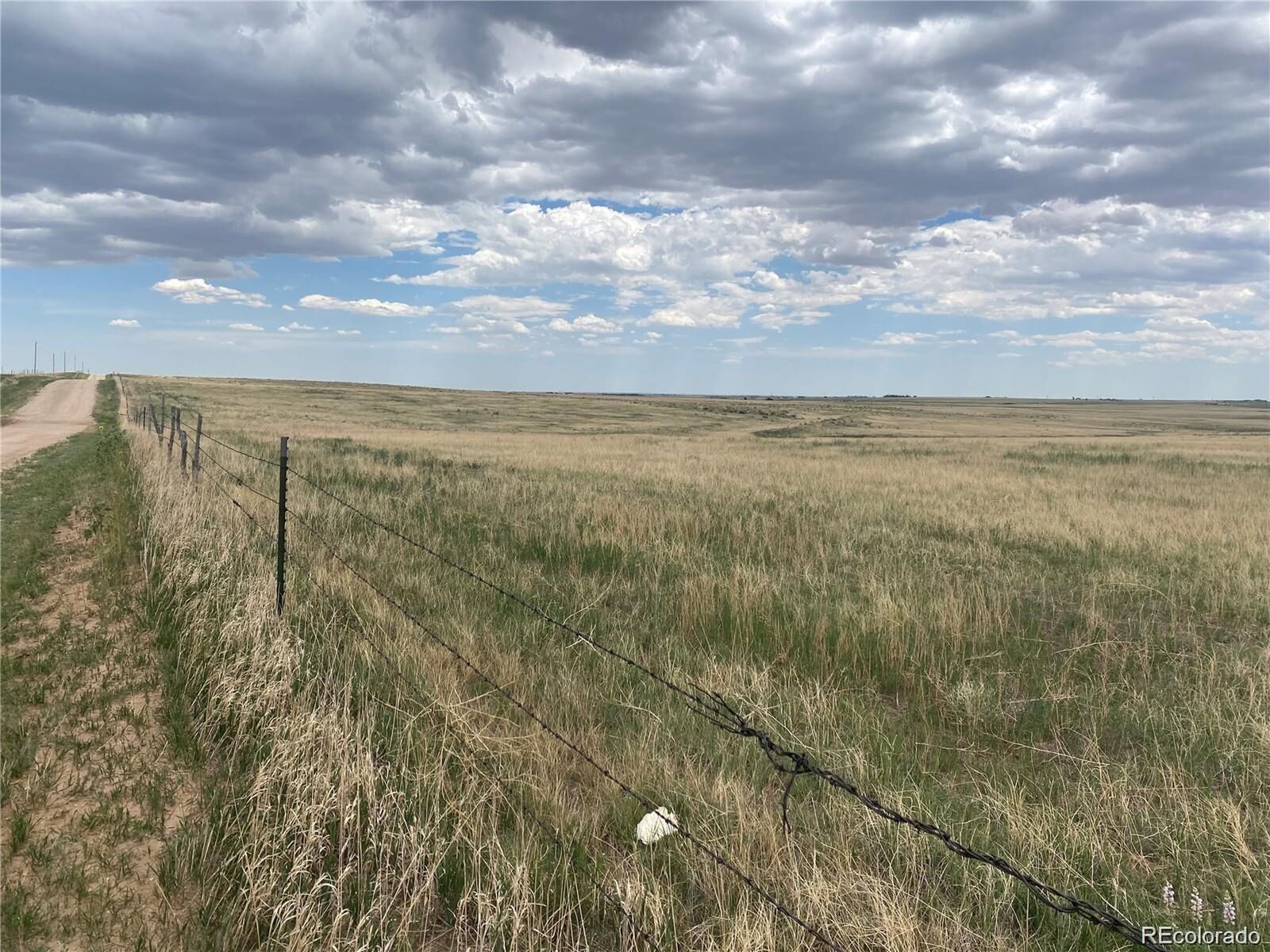 Property Photo:  37365 Middlebrook Rd  CO 80832 