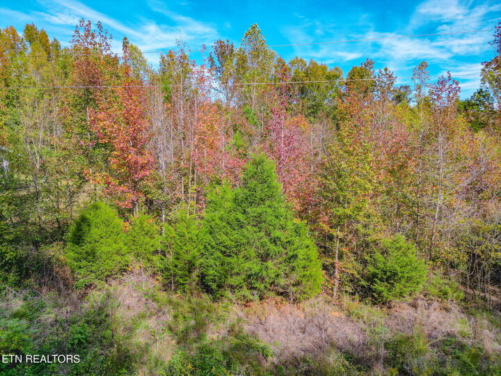 Property Photo: W Buttermilk Rd TN 37763