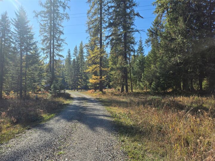 Property Photo:  49 Government Mountain Road  MT 59853 